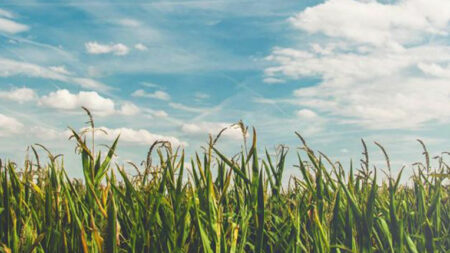 Sol’s Environmental Stewardship: Sustainability is in our DNA