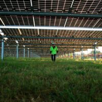 Powering Up Midwest Farms: Sol Systems, American Farmland Trust Launch Innovative Soil Health Research Initiative